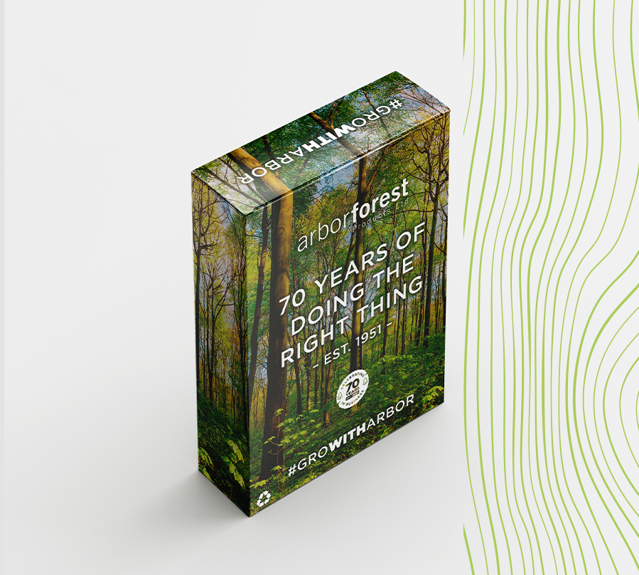 Creating the strategic foundations for Arbor Forest Products’ growth